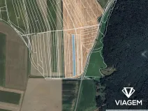 Prodej podílu pole, Česká Bříza, 1856 m2