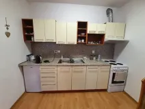 Pronájem bytu 1+kk, Jihlava, F. X. Šaldy, 38 m2