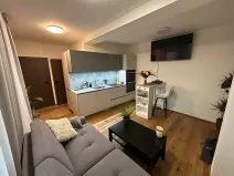 Pronájem bytu 1+kk, Želešice, 24. dubna, 36 m2