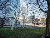 Pronájem obchodního prostoru, Praha - Holešovice, Jankovcova, 291 m2