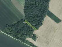 Prodej pole, Moravská Nová Ves, 5711 m2