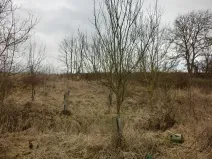 Prodej zahrady, Kunovice, 878 m2