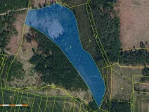 Prodej lesa, Chýstovice, 24882 m2