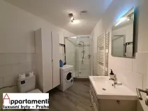 Pronájem bytu 2+kk, Praha - Vinohrady, Na Švihance, 73 m2
