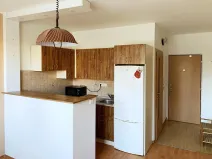 Pronájem bytu 1+1, Chodov, Čs. odbojářů, 36 m2