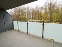 Pronájem bytu 1+kk, Plzeň, Heyrovského, 40 m2