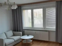 Pronájem bytu 1+1, Český Těšín, Okružní, 40 m2