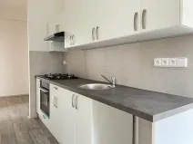 Pronájem bytu 3+1, Litvínov, Čapkova, 66 m2