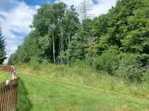 Dražba pozemku, Chlum, 12440 m2