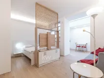 Pronájem bytu 1+kk, Praha - Nusle, Na Jezerce, 29 m2