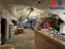 Pronájem restaurace, Mladá Boleslav, Ptácká, 410 m2