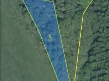 Prodej lesa, Čepřovice, 1644 m2