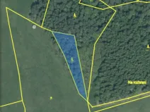 Prodej lesa, Čepřovice, 1644 m2