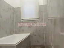 Pronájem bytu 1+1, Ostrava, Hilbertova, 54 m2