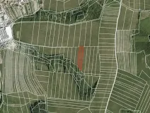 Prodej pole, Kaňovice, 2896 m2