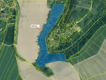 Dražba lesa, Římov, 49760 m2