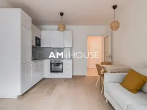 Pronájem bytu 2+kk, Praha - Vysočany, Ivana Hlinky, 60 m2