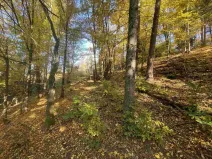 Prodej pole, Železný Brod, 12622 m2