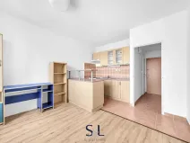 Prodej bytu 1+1, Liberec, Na Perštýně, 36 m2