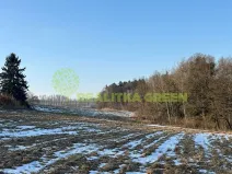 Prodej lesa, Světlá nad Sázavou, 48055 m2