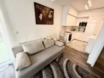 Pronájem bytu 2+kk, Brno - Veveří, Kounicova, 45 m2