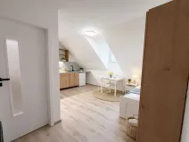 Pronájem bytu 1+kk, Praha - Nusle, Dačického, 22 m2