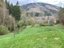 Prodej pozemku pro bydlení, Merklín, 7289 m2