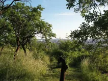 Prodej zahrady, Brno - Židenice, 1227 m2