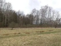 Prodej pozemku, Chlum u Třeboně - Lutová, 6727 m2