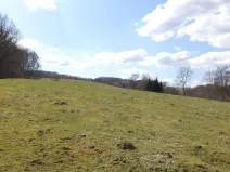 Prodej pole, Heřmanov - Fojtovice, 4633 m2