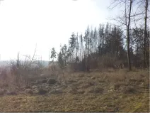 Dražba louky, Tábor, 1007 m2