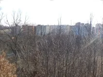 Dražba louky, Tábor, 1007 m2