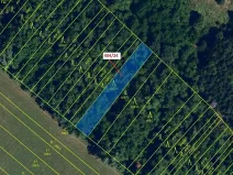 Dražba lesa, Ivančice, 741 m2