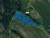 Dražba lesa, Náměšť nad Oslavou, 3646 m2