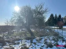 Prodej rodinného domu, Žiželice, 200 m2