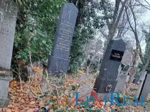 Prodej - jiné, Praha - Žižkov, Vinohradská, 3 m2