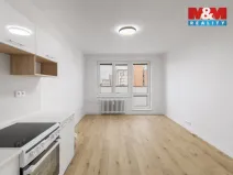 Pronájem bytu 1+kk, Ostrava - Výškovice, Lumírova, 27 m2