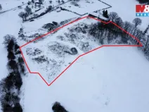 Prodej louky, Březí, 11766 m2