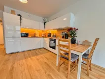 Pronájem bytu 2+kk, Praha - Holešovice, Jankovcova, 79 m2