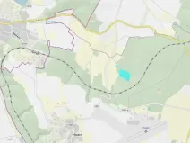 Prodej lesa, Hosín, 32334 m2