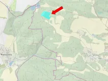 Prodej lesa, Pačejov, 15990 m2