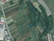 Prodej pozemku, Velká nad Veličkou, 258 m2