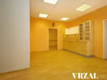 Pronájem ordinace, Plzeň, Francouzská třída, 80 m2