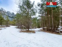 Prodej lesa, Rabí, 28273 m2