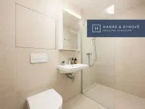 Pronájem bytu 1+kk, Pohořelice, 30 m2