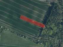 Prodej pole, Střemy, 7658 m2