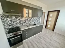 Prodej bytu 1+1, České Budějovice, V. Volfa, 41 m2