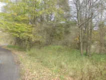 Dražba pozemku, Aš, 1691 m2