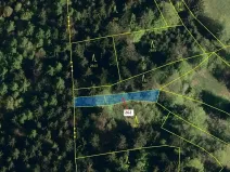 Dražba lesa, Zděchov, 273 m2