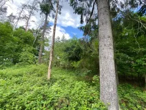 Prodej lesa, Blížejov - Lštění, 4624 m2